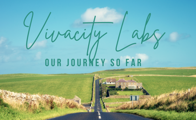 VivaCity - The journey so far