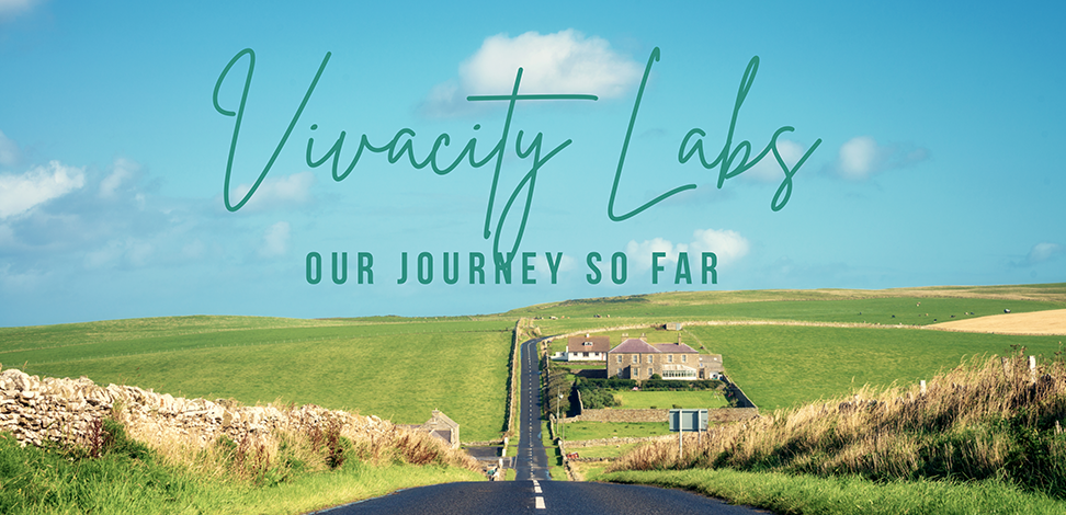 Vivacity Labs - The journey so far